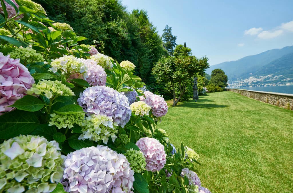 garden villa pliniana wedding