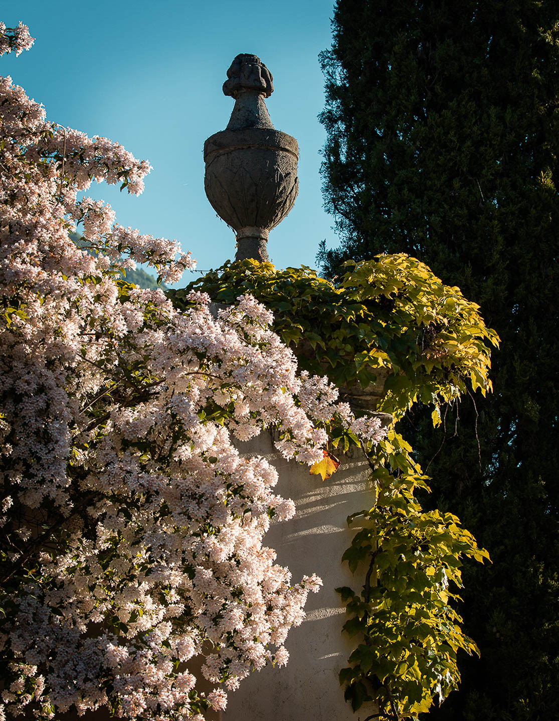 ©Villa Balbiano