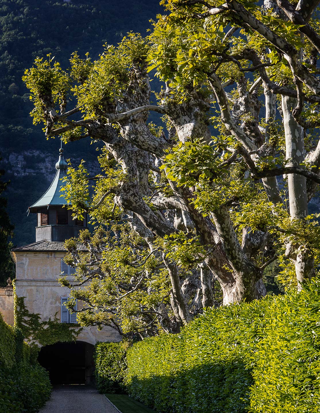 ©Villa Balbiano