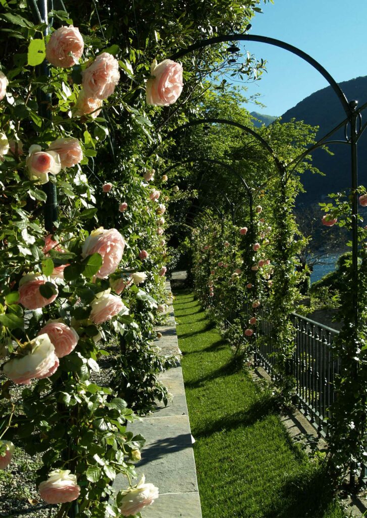 Villa Regina Teodolinda giardino