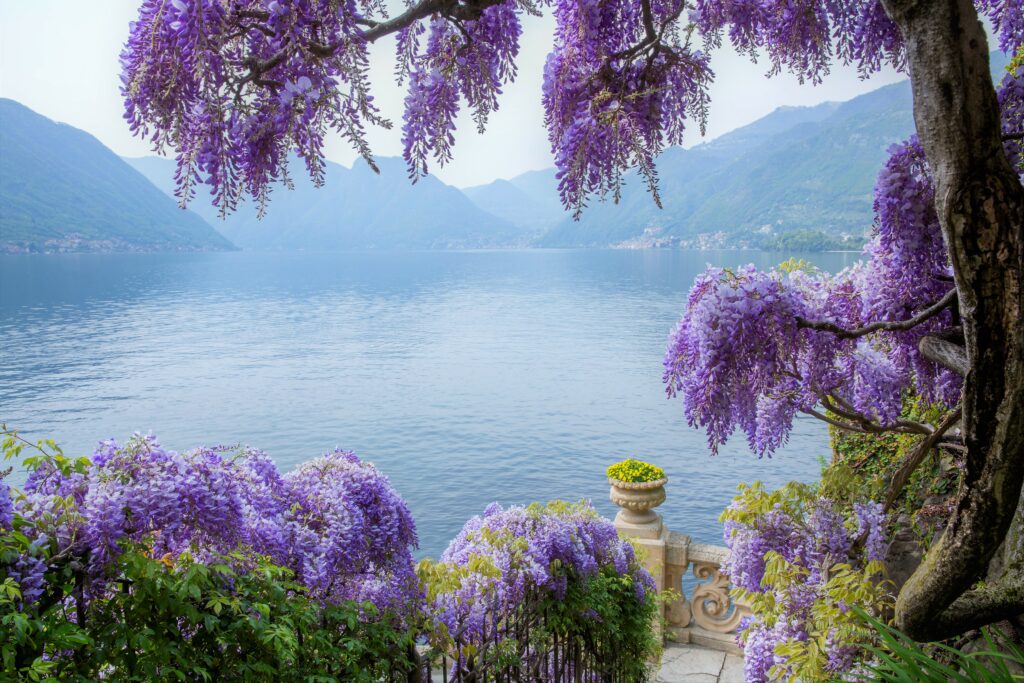 Lake Como - wdding between lake and mountains
