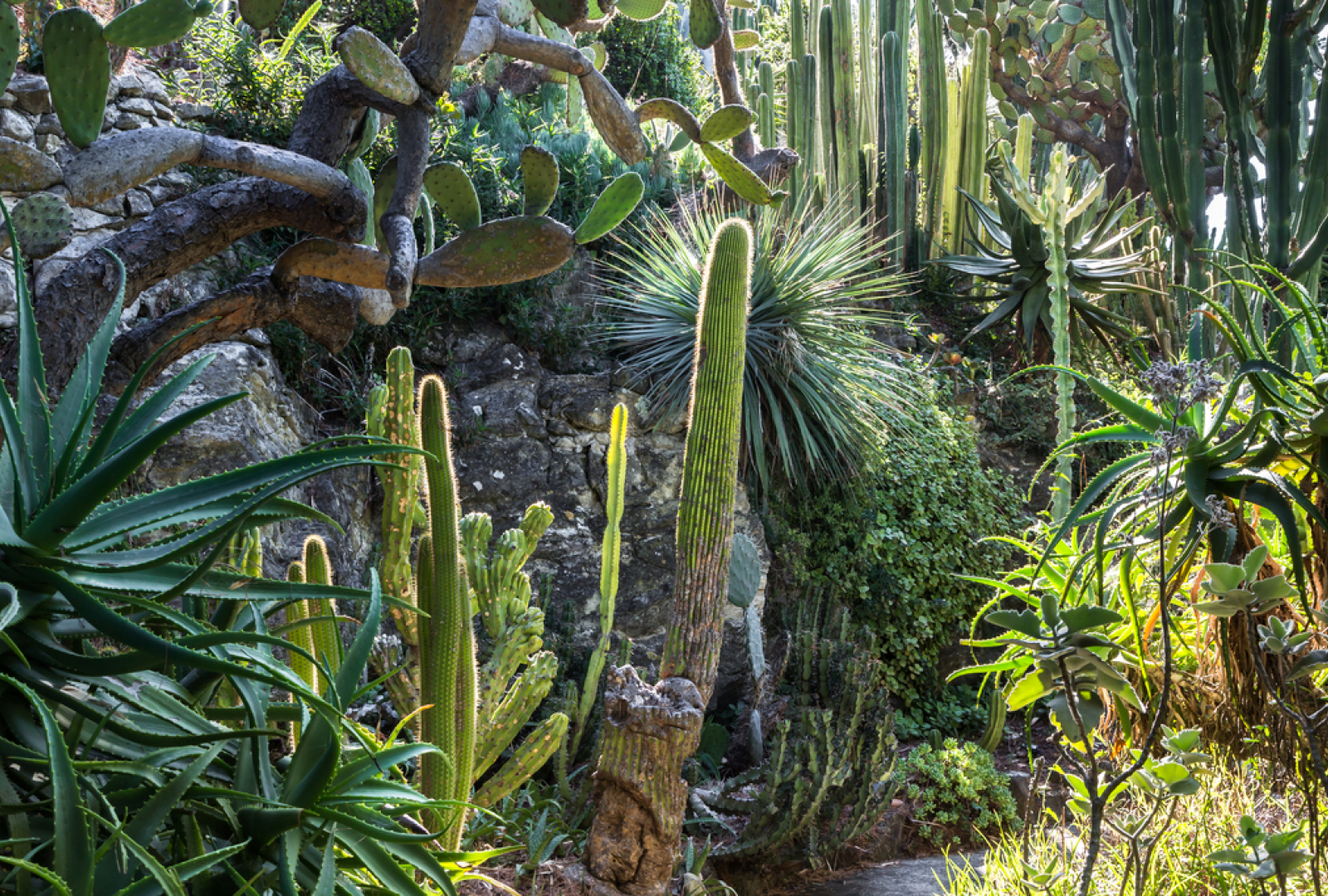 ©villa ephrussi de rothschild