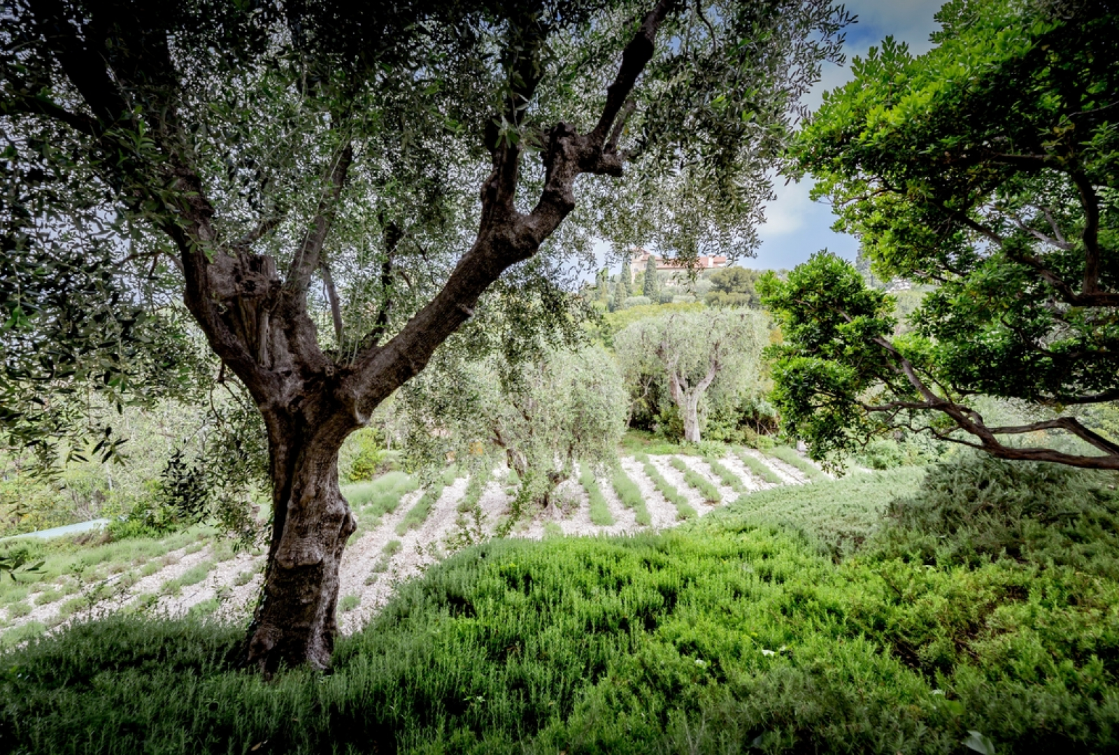©villa ephrussi de rothschild