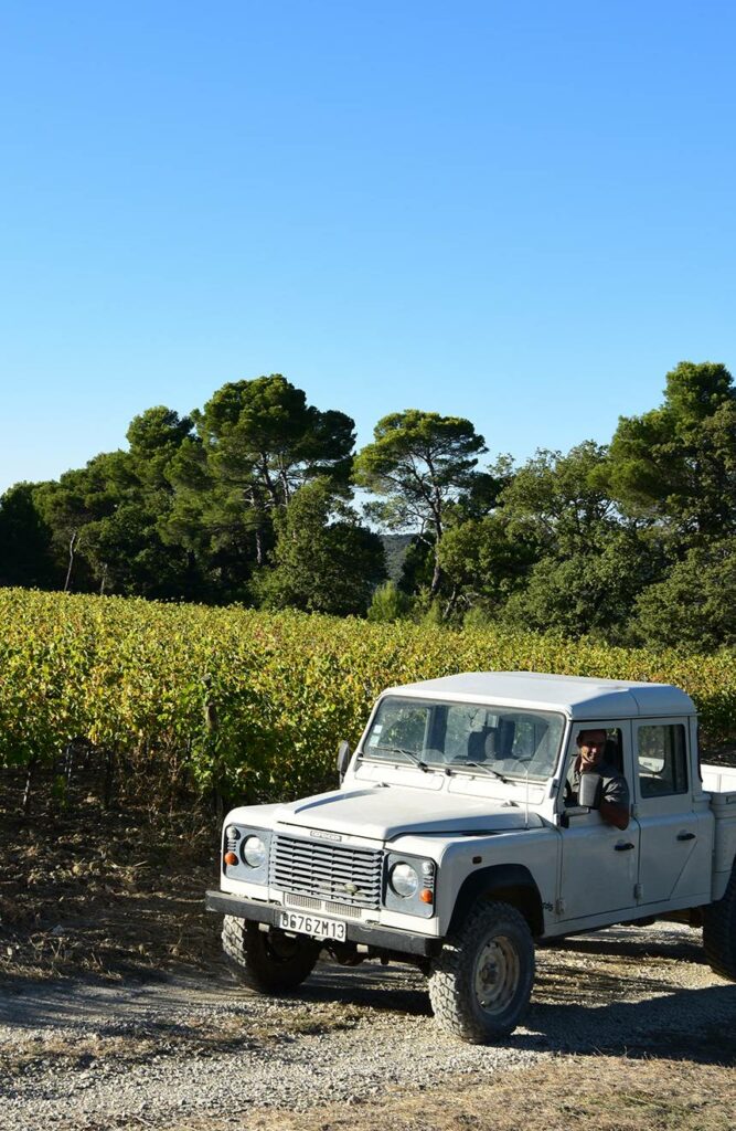 wine tasting in the vineyards