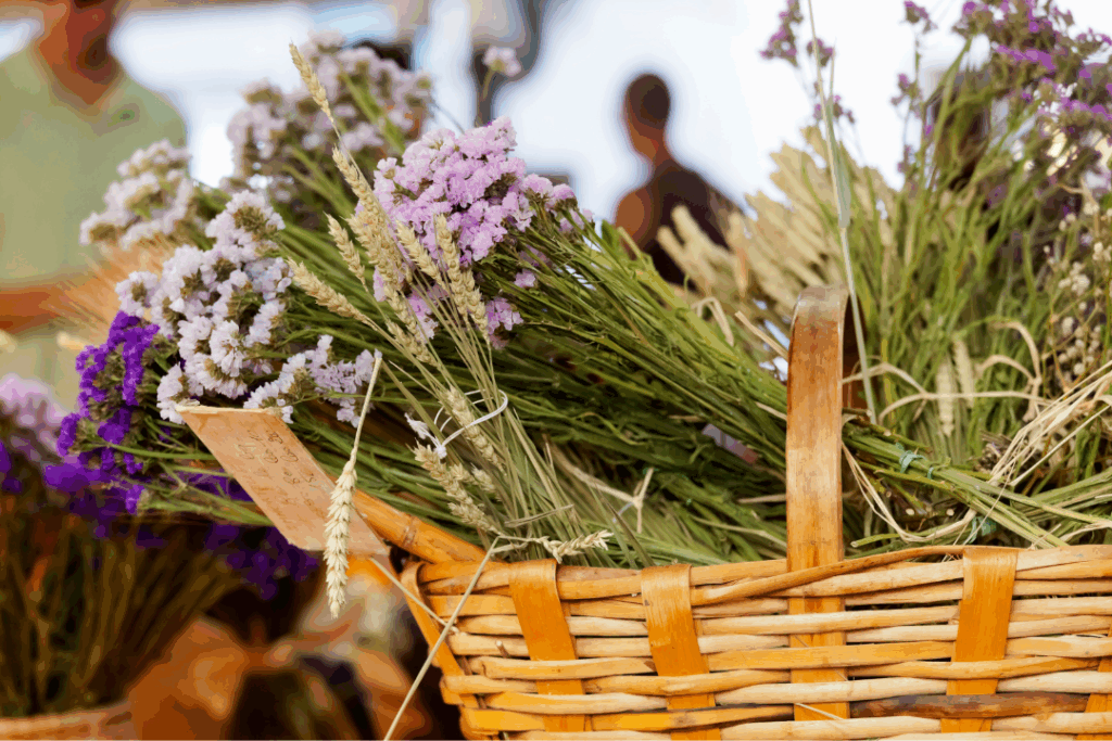 provençal markets