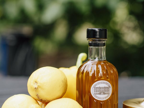 Vanessa-Colin-Photographe-1175