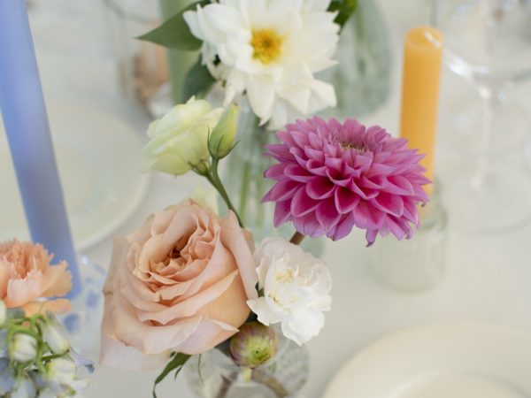 Vanessa-Colin-Photographe-2429