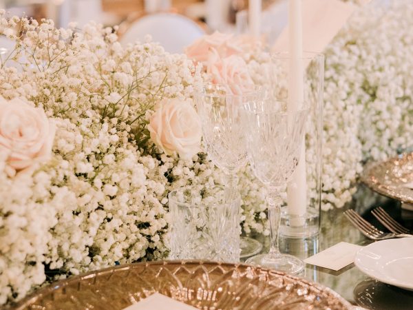 villaerbaweddinga-991