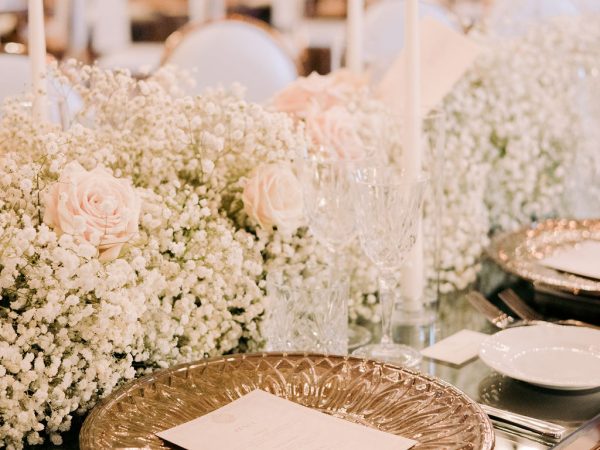 villaerbaweddinga-992